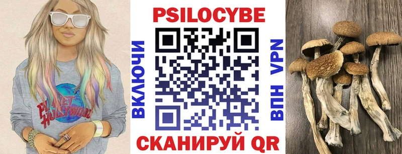 где продают наркотики Ступино Галлюциногенные грибы Cubensis